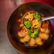 KOI (56) Terre Wings