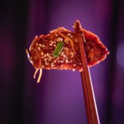 KOI (60) Korean Wings